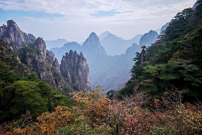 黄山秋景正当时