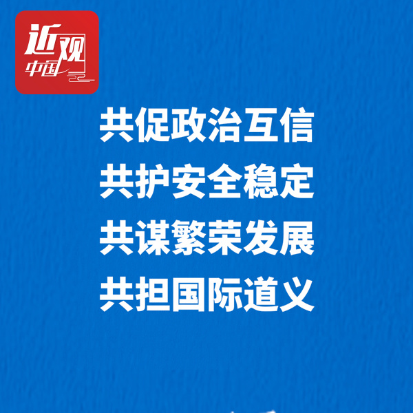 习近平：把本国发展进步的前途命运牢牢掌握在自己手中