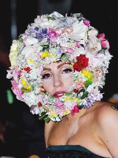 LadyGaga׷˲ȸ߸Ь·С